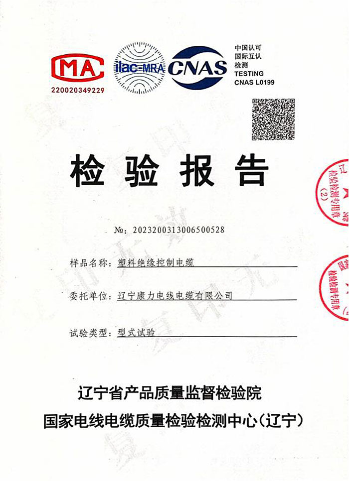 塑料绝缘控制电缆检验报告
