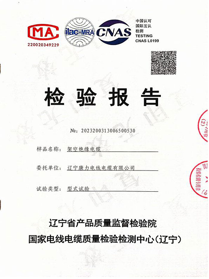 架空绝缘电缆检验报告